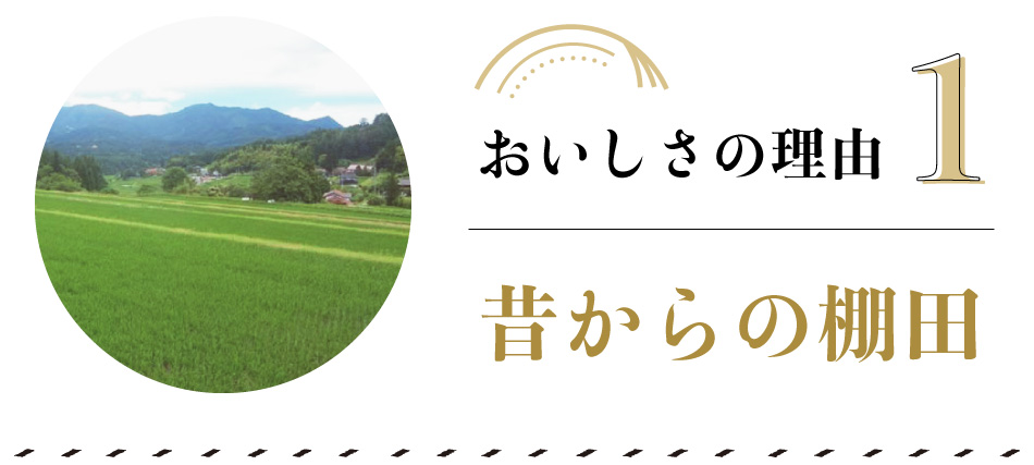 おいしさの理由　その1　　＜＜　昔からの棚田　＞＞