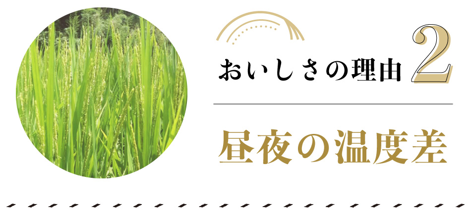 おいしさの理由　その2　　＜＜　昼夜の温度差　＞＞