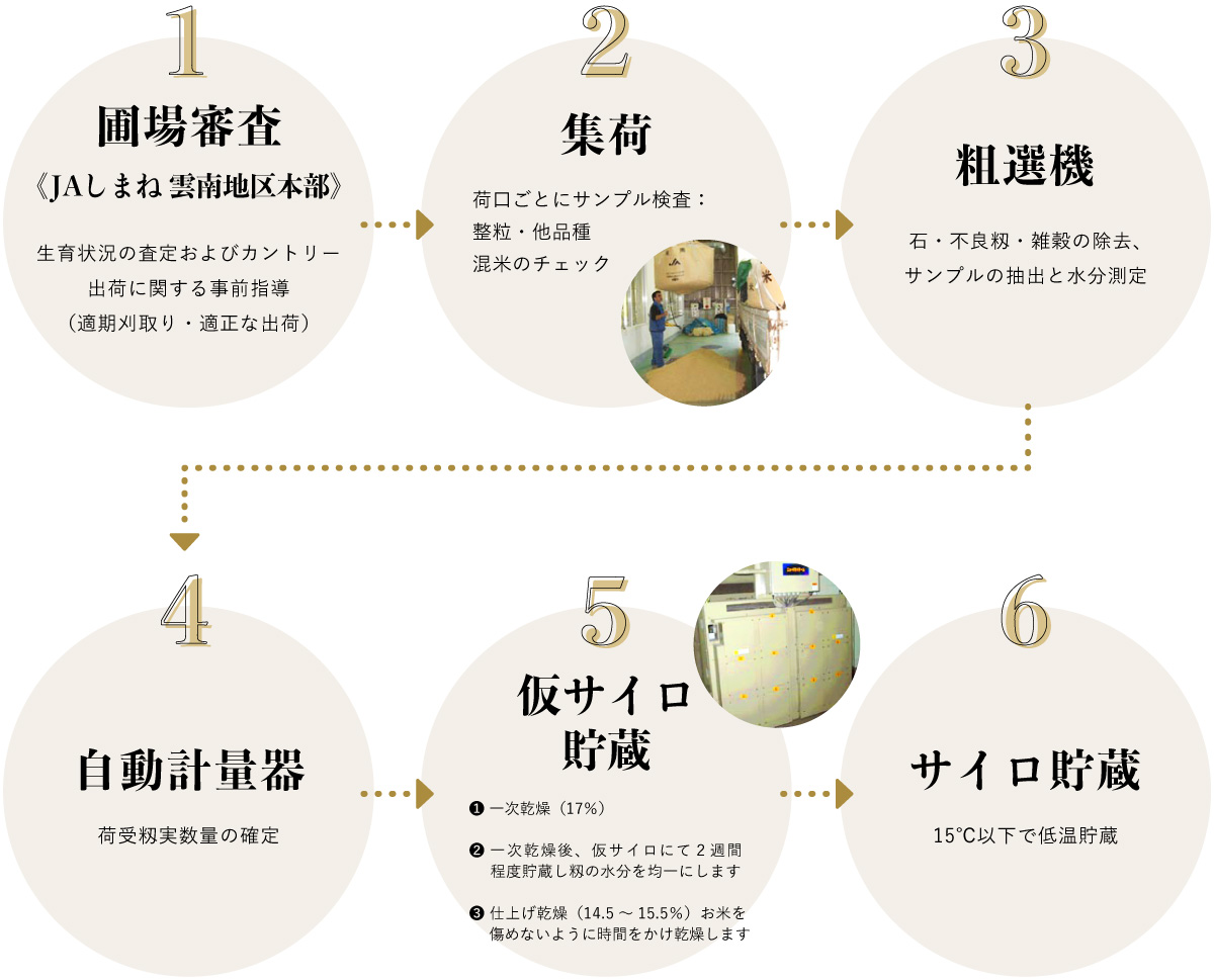 集荷から低温貯蔵するまで