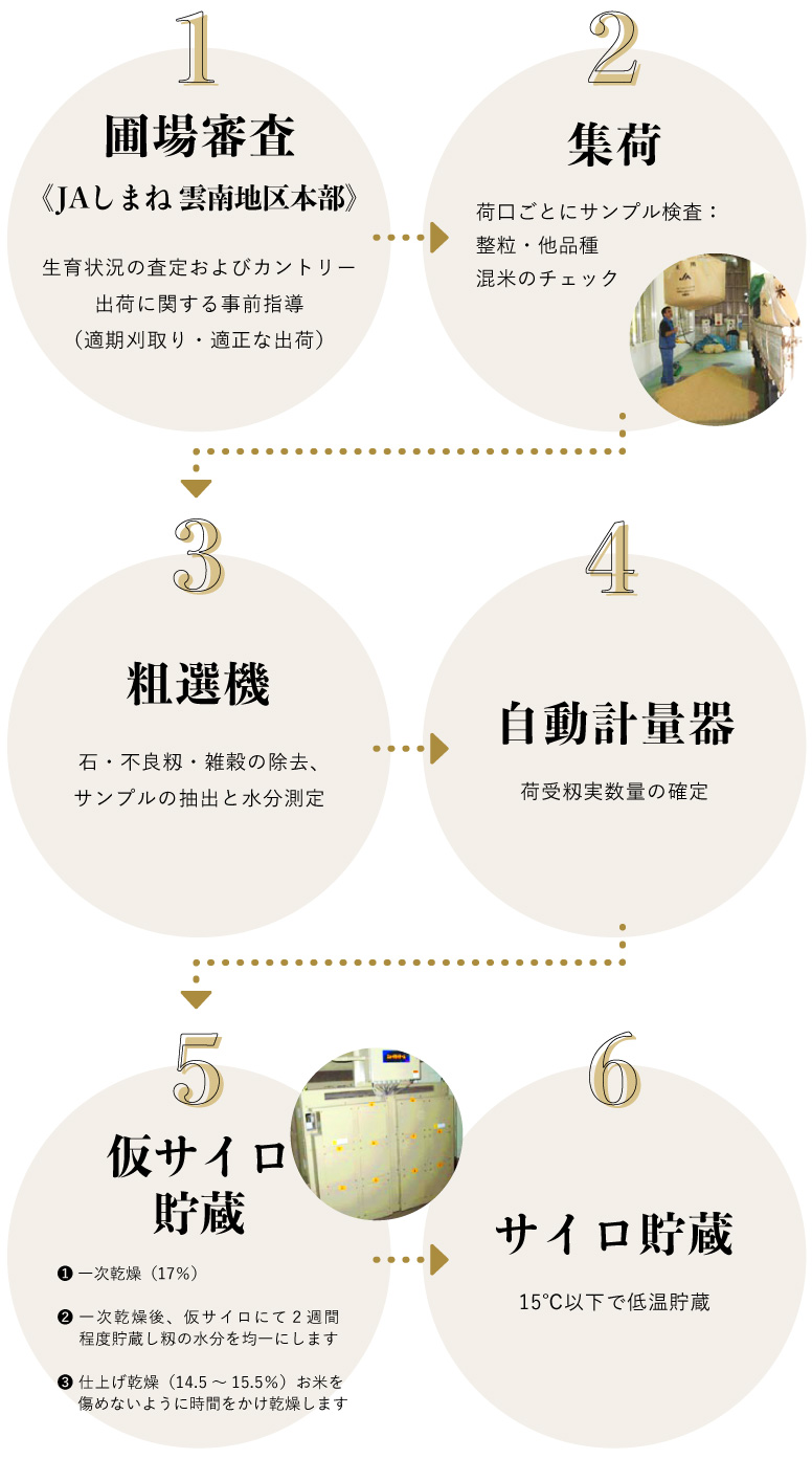 集荷から低温貯蔵するまでsp