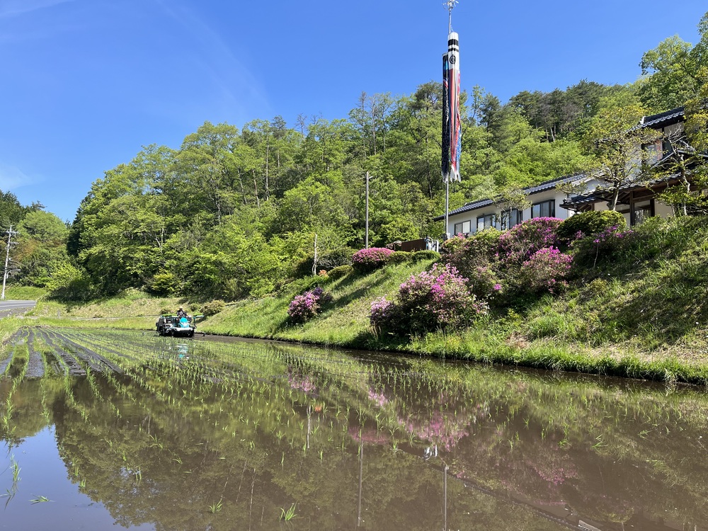 田植え1