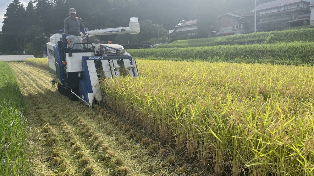 9月3日3