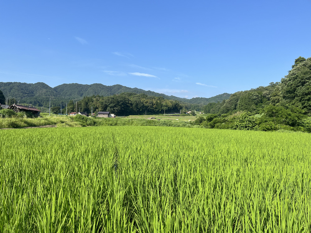 6月28日1