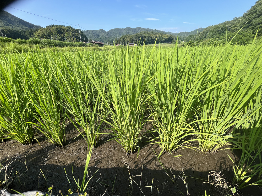 6月28日2