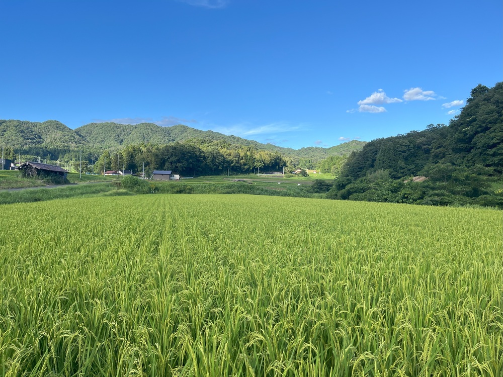 7月27日1