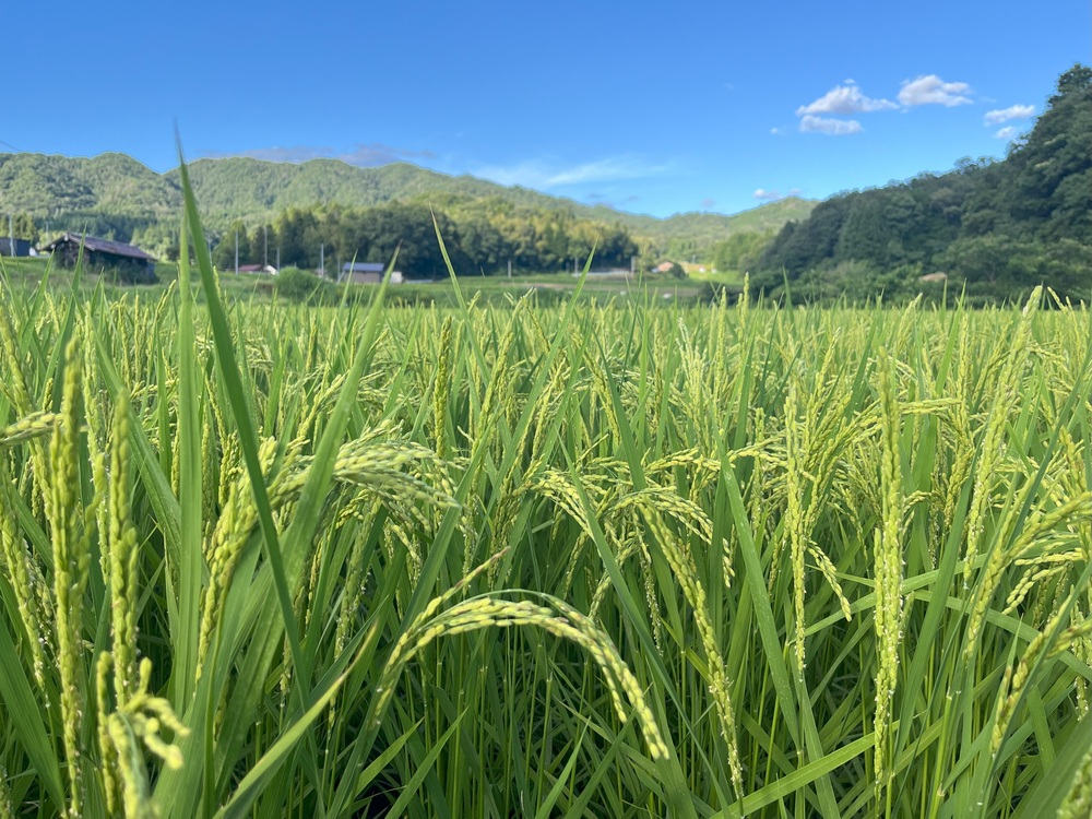 7月27日2