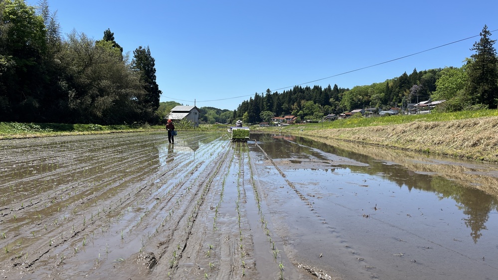 田植え１