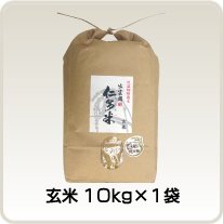 玄米 10kg×1袋 (送料込)