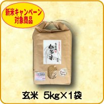 【新米予約】玄米　5kg×1袋