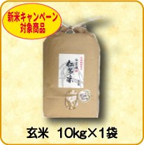 【新米予約】玄米　10kg×1袋
