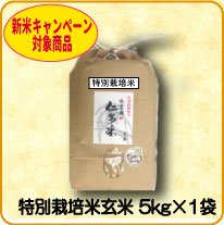 特別栽培米 【玄米】5kg×1袋