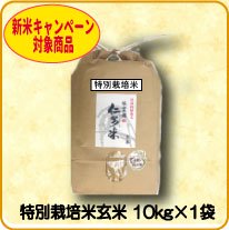 特別栽培米 【玄米】5kg×1袋