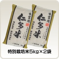 特別栽培米 5kg×2袋 (C)