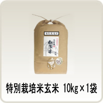 特栽玄米10kg