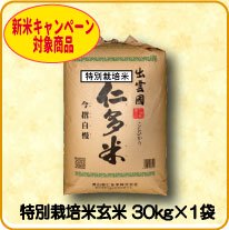 特別栽培米 【玄米】30kg×1袋