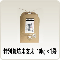 【定期購入】玄米 10kg×1袋